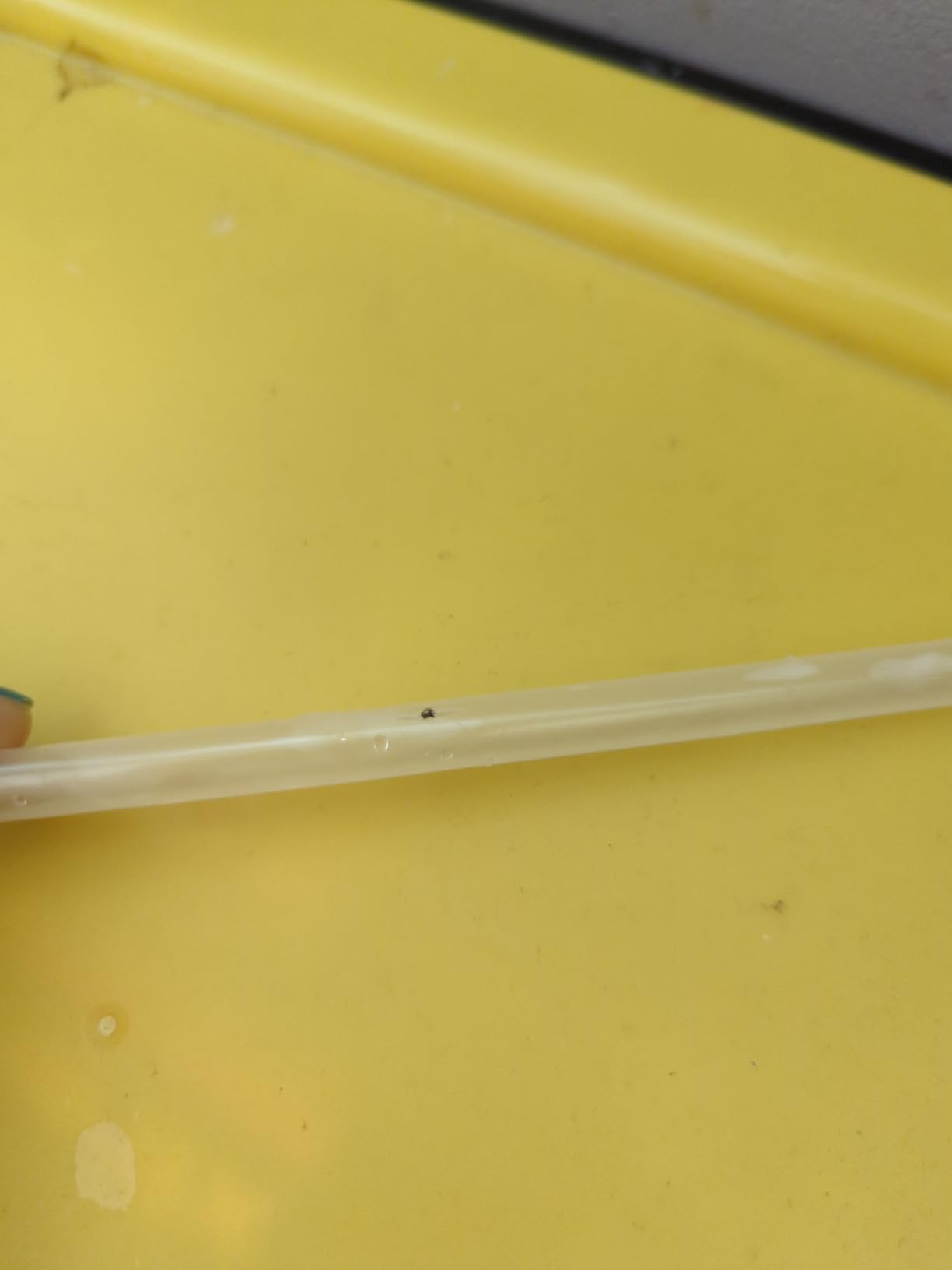 c4b151c4954dcc18125a0402f313a7e5