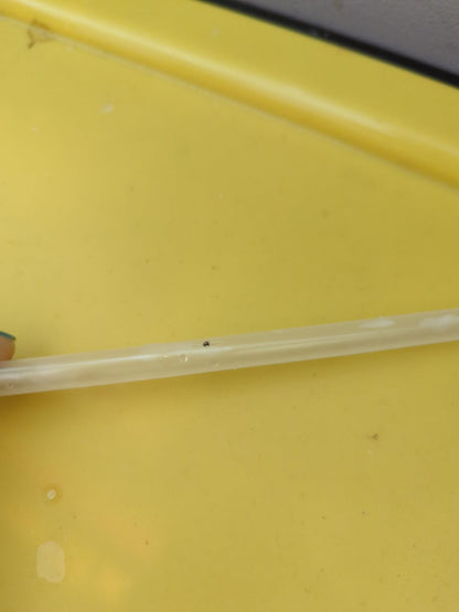 c4b151c4954dcc18125a0402f313a7e5